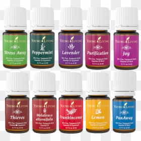 Premium Starter Kit Oils Young Living, HD Png Download - young living png