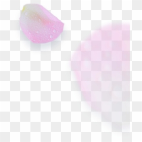 Artificial Nails, HD Png Download - young living png
