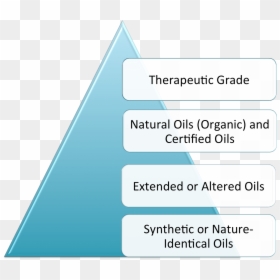 Screenshot, HD Png Download - young living png