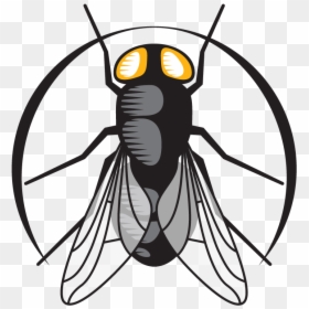 Clip Art, HD Png Download - house fly png