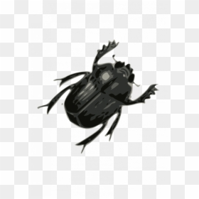 Transparent Background Bug Clipart, HD Png Download - house fly png