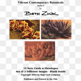 Cycad, HD Png Download - note card png