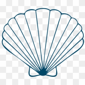 Clipart Seashell, HD Png Download - concha png
