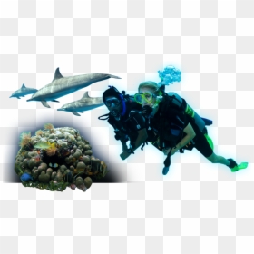 Png Taucher, Transparent Png - diving board png