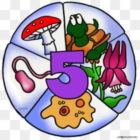 Five Kingdoms, HD Png Download - scientist clipart png
