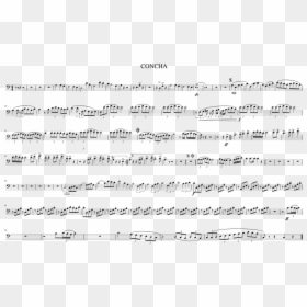 Document, HD Png Download - concha png