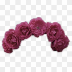Garden Roses, HD Png Download - summer rae png