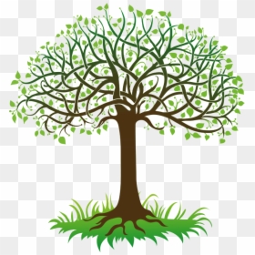 Tree Of Life Clipart With Roots, HD Png Download - green gradient png