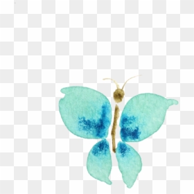Butterflies Watercolor Transparent Background, HD Png Download - watercolor butterfly png