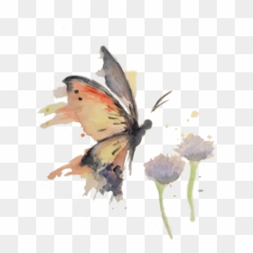 Butterfly Watercolor Transparent, HD Png Download - watercolor butterfly png