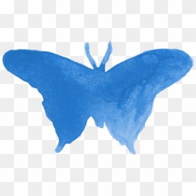 Butterfly, HD Png Download - watercolor butterfly png