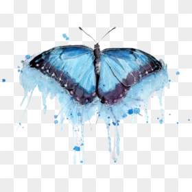 Butterfly In Watercolor Png, Transparent Png - watercolor butterfly png