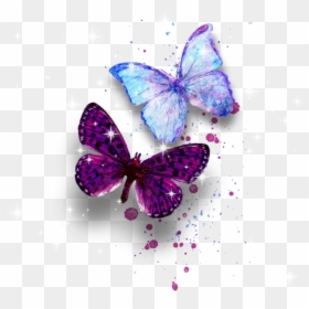 Png Mariposa De Background, Transparent Png - watercolor butterfly png