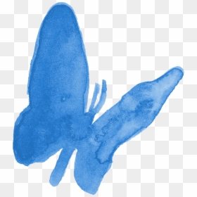Squid, HD Png Download - watercolor butterfly png