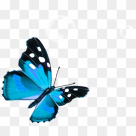 蝴蝶, HD Png Download - watercolor butterfly png