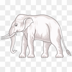White Indian Elephant Png, Transparent Png - white elephant png