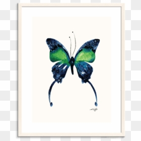 Swallowtail Butterfly, HD Png Download - watercolor butterfly png