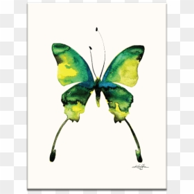 Watercolor Abstract Butterfly, HD Png Download - watercolor butterfly png