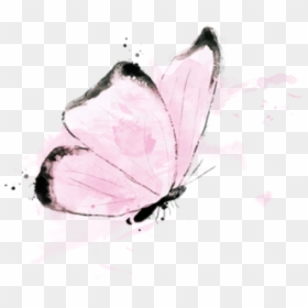 Swallowtail Butterfly, HD Png Download - watercolor butterfly png