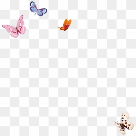 Watercolor Butterfly Png, Transparent Png - watercolor butterfly png