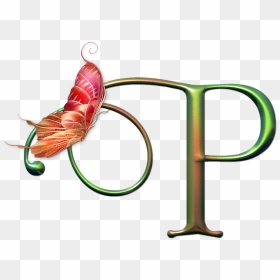 Decorative Letter B - Alphabet, HD Png Download - decorative letter b png