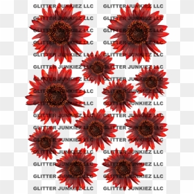 Black-eyed Susan, HD Png Download - watercolor sunflower png
