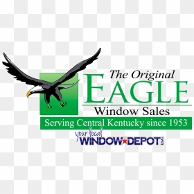 Eagle, HD Png Download - usa eagle png