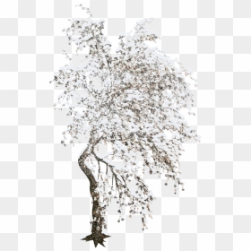 Tree Winter Clip Art - Tree Winter Gif Transparent, HD Png Download - winter trees png