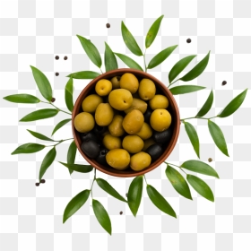 Оливки Листья, HD Png Download - greek wreath png