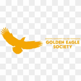 Transparent Golden Eagle Png - Houston Community College Eagle, Png Download - golden eagle png