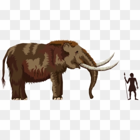 Transparent Wooly Mammoth Clipart - Cenozoic Era Mammals, HD Png Download - ice age png