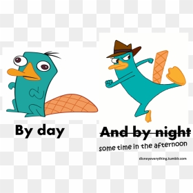 “ Follow For More Disney"s Phineas And Ferb Agent P/ - Perry The Platypus Drawings, HD Png Download - phineas and ferb png