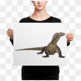 Deep Lounge Cd , Png Download - Christian Canvas Art, Transparent Png - komodo dragon png