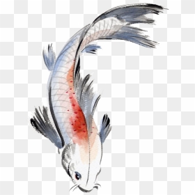 Clipart Free Stock Fishes Drawing Watercolor - Watercolor Koi Fish Painting, HD Png Download - watercolor feather png