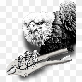 "  Title="eagle"  Class="max-image Lazyload - Eagle And Flag Drawings, HD Png Download - usa eagle png