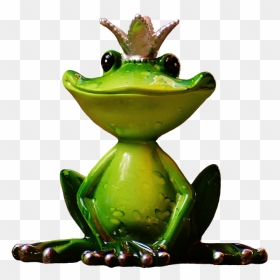 Download Frog Png Transparent Images Transparent Backgrounds - Frog Prince Hd, Png Download - cartoon frog png