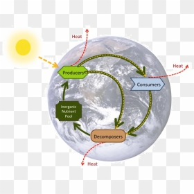 Energy Flows Nutrients Cycle, HD Png Download - ice cycles png