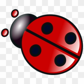 Ladybug Cute Icon - Cute Icon, HD Png Download - cute ladybug png
