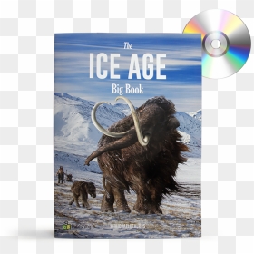 Cd, HD Png Download - ice age png