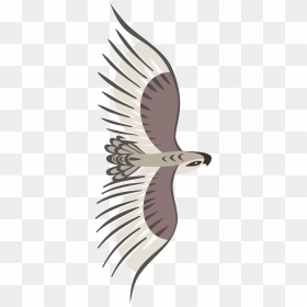 Golden Eagle Svg Clip Arts - Bird Top View Png, Transparent Png - golden eagle png