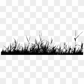 #ftestickers #grass #groundcover #silhouette #blackandwhite - Black Shadow Grass Png, Transparent Png - groundcover png