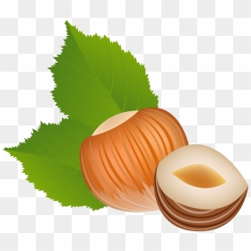 Hazelnut Transparent Png Clip Art Image - Hazelnut Clipart Png, Png Download - hazelnut png
