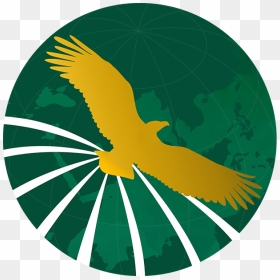 Golden Eagle Travel And Tours Logo Png, Transparent Png - golden eagle png