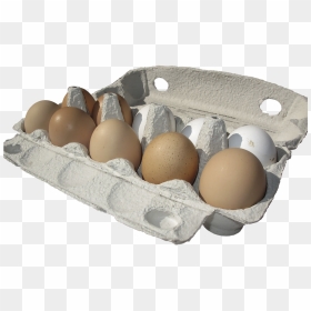Carton Of Eggs Transparent, HD Png Download - egg carton png