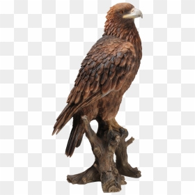 Small Pictures Of A Golden Eagle, HD Png Download - golden eagle png