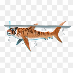 Bengal Tiger , Png Download - Requiem Shark, Transparent Png - bengal tiger png