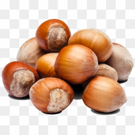 Nut Clipart Hazelnut - Hazelnuts Nuts Transparent Png, Png Download - hazelnut png