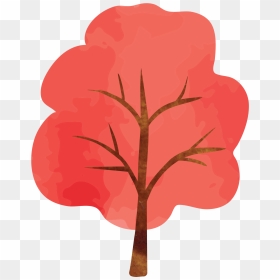 Red Maple Photography - Illustration, HD Png Download - red maple png