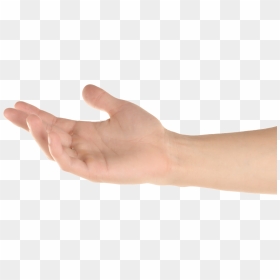 Thumb Image - Hand Reaching For Something Png, Transparent Png - hand out png