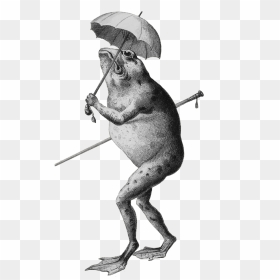 Frog Clip Art Cartoon, HD Png Download - cartoon frog png